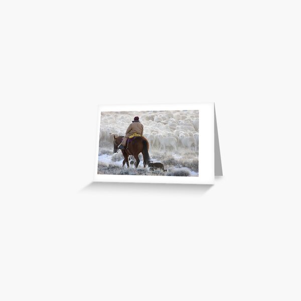 Sheep Herding, Red Desert, Wyoming Greeting Card