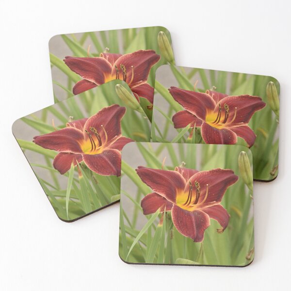 Item preview, Crimson Daylily Bloom with Yellow Throat designed and sold by TathataPhotos.