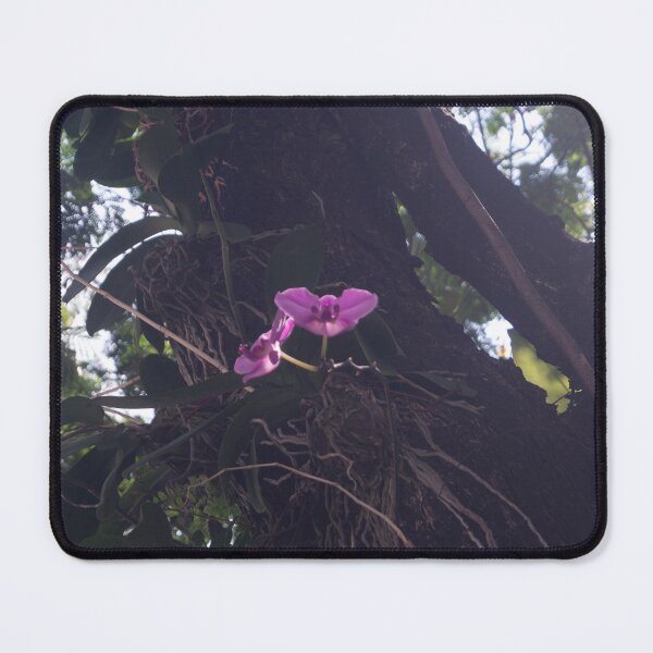 Item preview, Philippine ground orchid or large purple orchid designed and sold by ROSE ANN BANILAR.