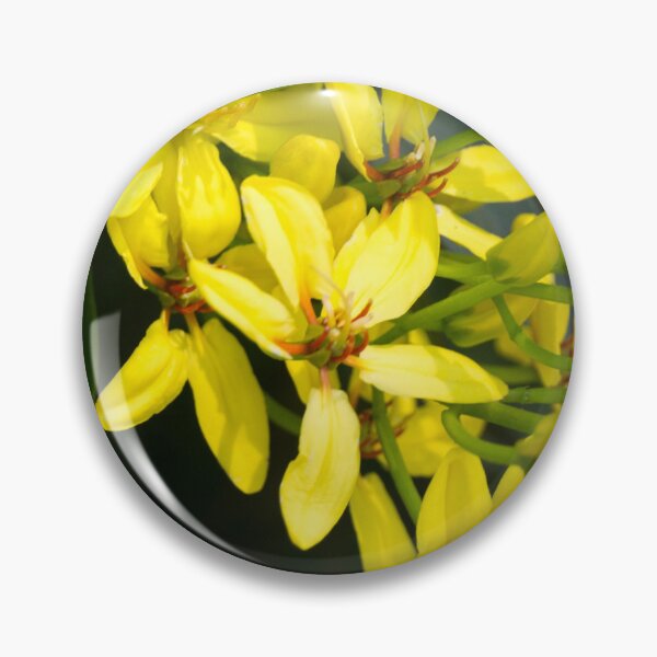 Item preview, Australian Gold Vine, Maiden's Jealousy, or Shower of Gold Climber designed and sold by ROSE ANN BANILAR.