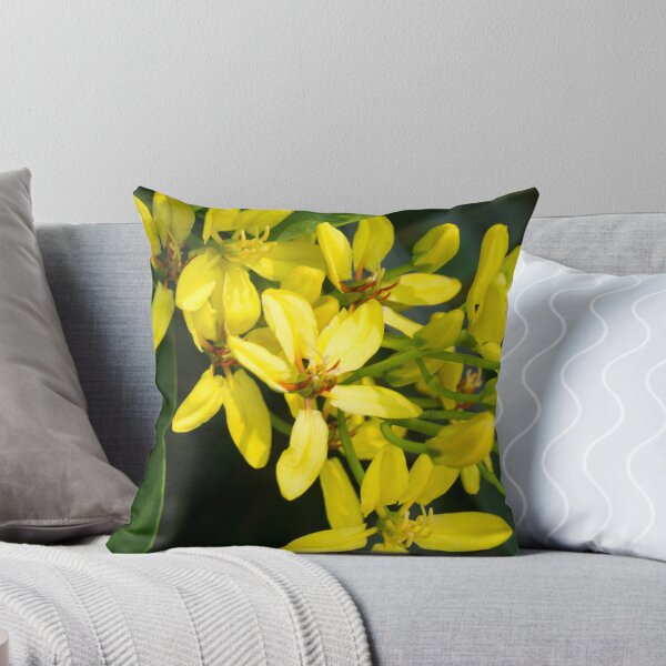 Item preview, Australian Gold Vine, Maiden's Jealousy, or Shower of Gold Climber designed and sold by ROSE ANN BANILAR.