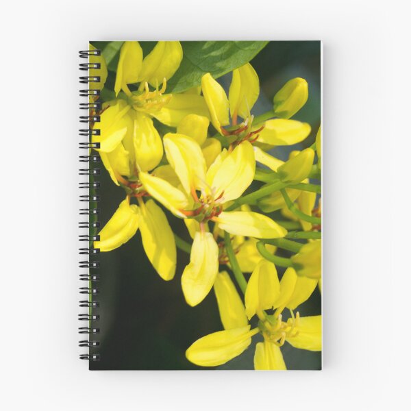 Item preview, Australian Gold Vine, Maiden's Jealousy, or Shower of Gold Climber designed and sold by ROSE ANN BANILAR.
