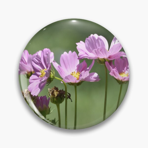 Item preview, Five Purple Cosmos Flowers with Buds in Garden designed and sold by TathataPhotos.