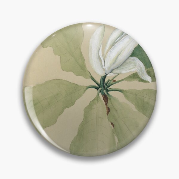 Item preview, Study of Magnolia Blossom Tiffany & Co designed and sold by generalbonkers.