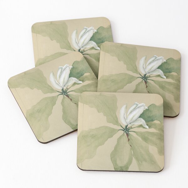 Item preview, Study of Magnolia Blossom Tiffany & Co designed and sold by generalbonkers.