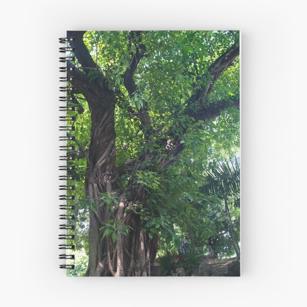 Item preview, Balete Tree designed and sold by ROSE ANN BANILAR.