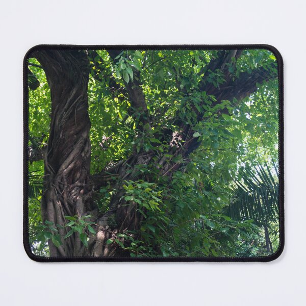 Item preview, Balete Tree designed and sold by ROSE ANN BANILAR.