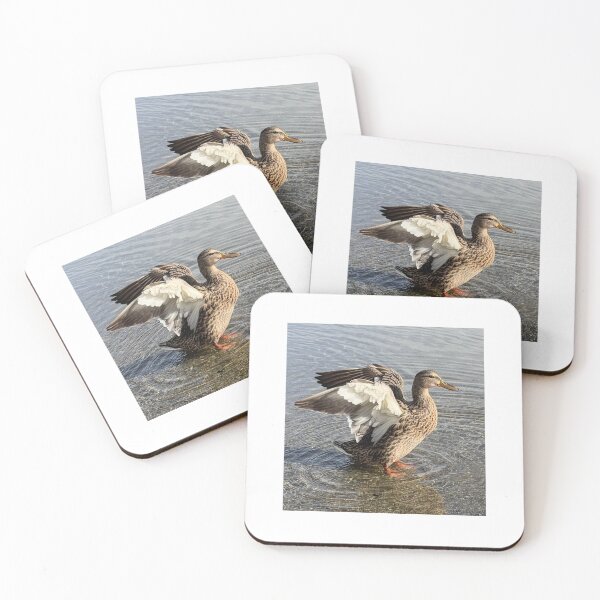 Item preview, Duck designed and sold by OddishLab.