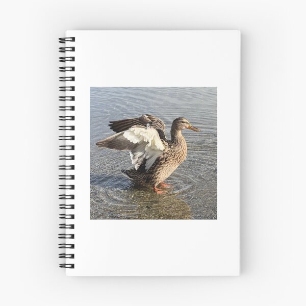 Item preview, Duck designed and sold by OddishLab.