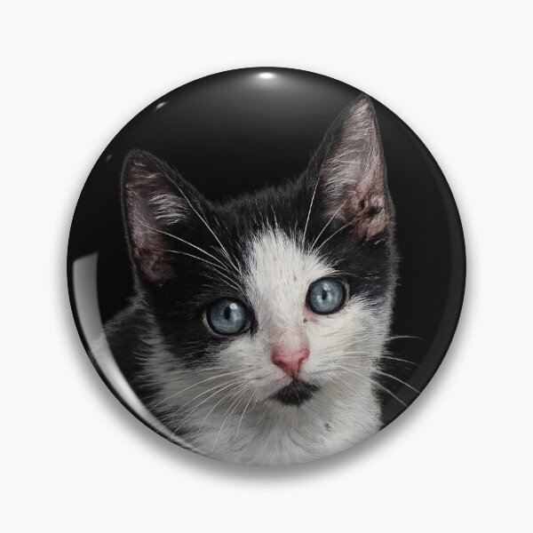 Item preview, Cute blue-eyed kitten designed and sold by ArtLittle.