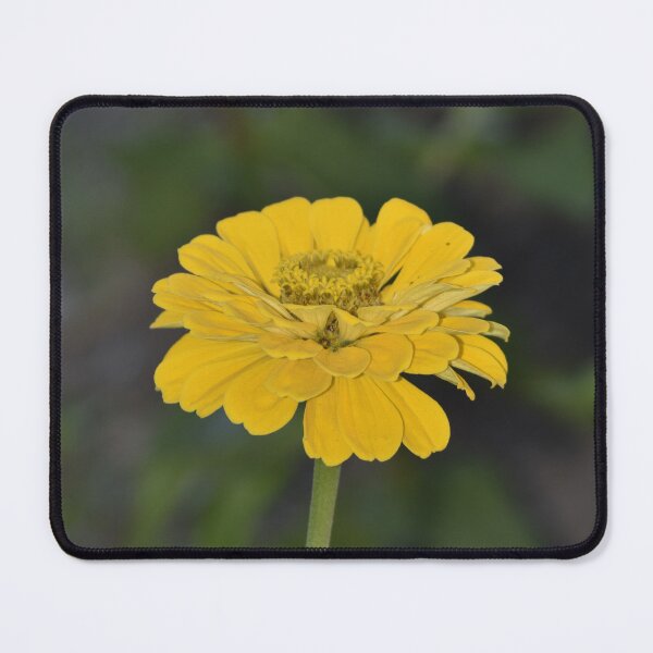 Item preview, Bright Yellow Zinnia Flower in Garden designed and sold by TathataPhotos.