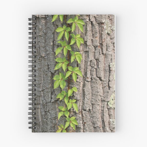 Item preview, Vine on a Tree Trunk designed and sold by LisaNaturePhoto.