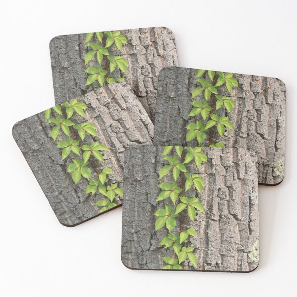 Item preview, Vine on a Tree Trunk designed and sold by LisaNaturePhoto.