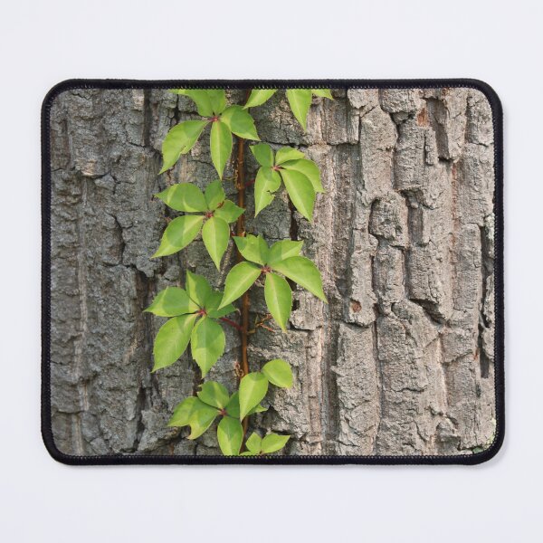 Item preview, Vine on a Tree Trunk designed and sold by LisaNaturePhoto.