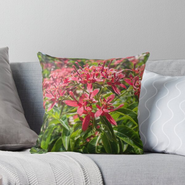 Item preview, Flaming Beauty or Giant Pentas designed and sold by ROSE ANN BANILAR.