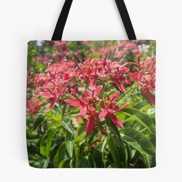 Item preview, Flaming Beauty or Giant Pentas designed and sold by ROSE ANN BANILAR.
