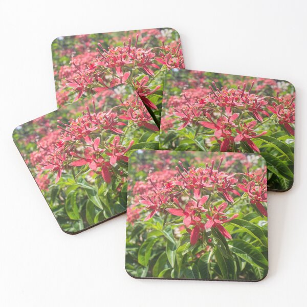 Item preview, Flaming Beauty or Giant Pentas designed and sold by ROSE ANN BANILAR.