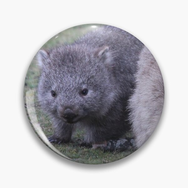 Item preview, Maria Island Wombat With Joey designed and sold by CazDPhotos.