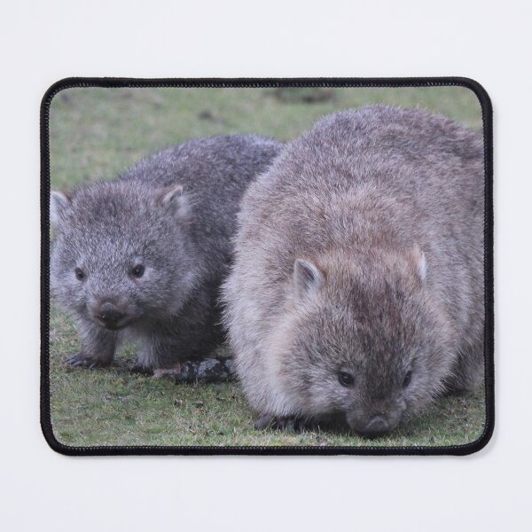 Item preview, Maria Island Wombat With Joey designed and sold by CazDPhotos.