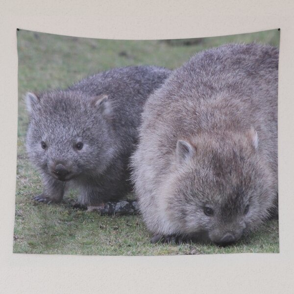 Item preview, Maria Island Wombat With Joey designed and sold by CazDPhotos.