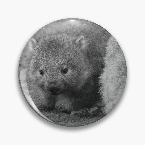 Item preview, Maria Island Wombat With Joey B&W designed and sold by CazDPhotos.
