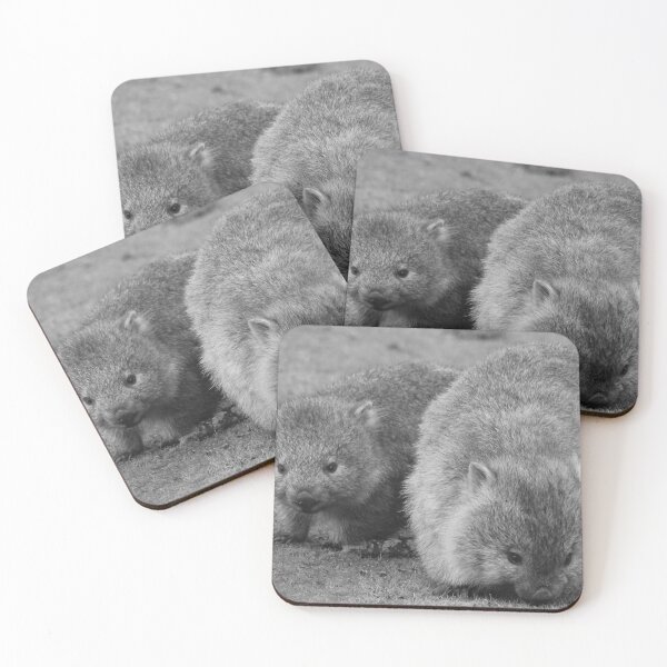 Item preview, Maria Island Wombat With Joey B&W designed and sold by CazDPhotos.