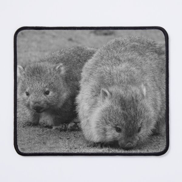 Item preview, Maria Island Wombat With Joey B&W designed and sold by CazDPhotos.