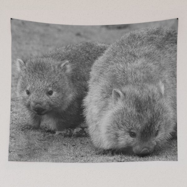 Item preview, Maria Island Wombat With Joey B&W designed and sold by CazDPhotos.