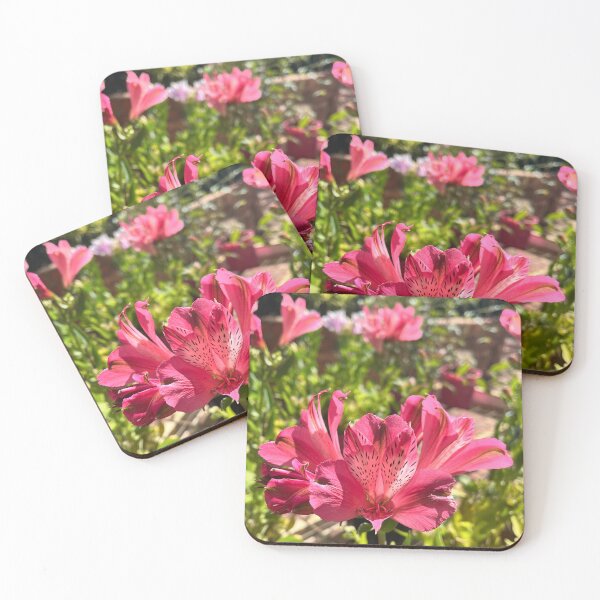 Item preview, Pink Alstroemeria Flower Botanical Photography designed and sold by Be Captured by Brittany Emma.