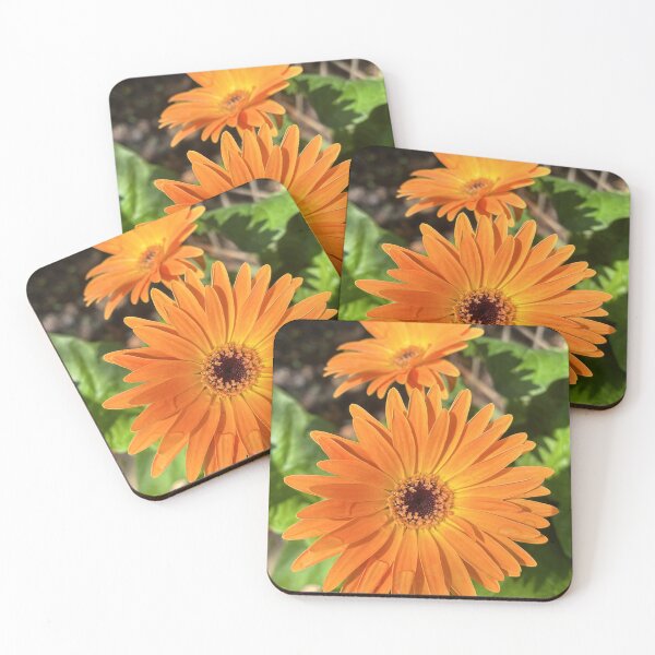 Item preview, Orange Gerbera Daisy Botanical Photography designed and sold by Be Captured by Brittany Emma.