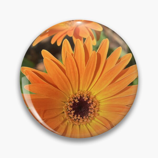 Item preview, Orange Gerbera Daisy Botanical Photography designed and sold by Be Captured by Brittany Emma.