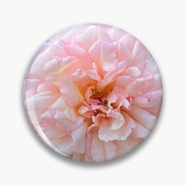 Item preview, Blush Pink Rose Botanical Photography designed and sold by Be Captured by Brittany Emma.