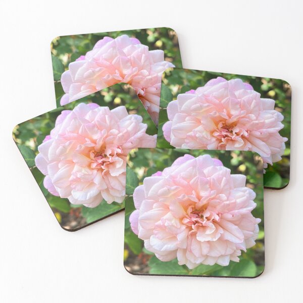 Item preview, Blush Pink Rose Botanical Photography designed and sold by Be Captured by Brittany Emma.