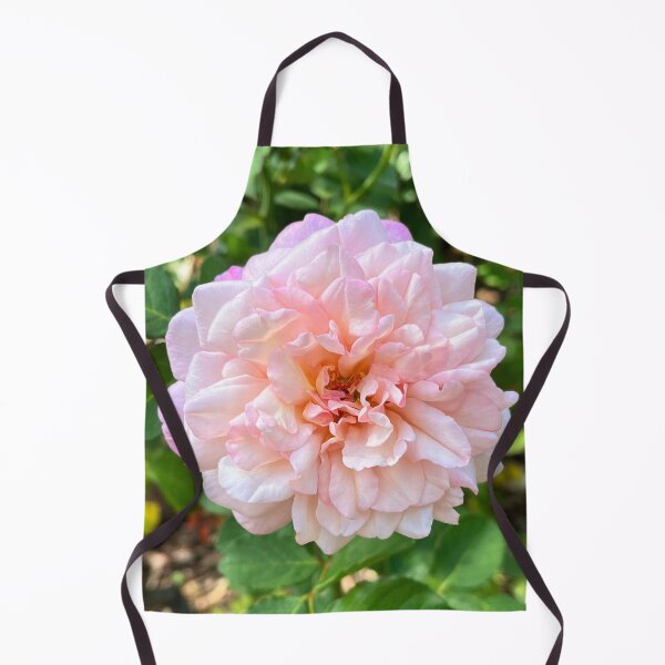 Artikelvorschau, Botanische Fotografie von zartrosa Rosen entworfen und verkauft von Be Captured by Brittany Emma.