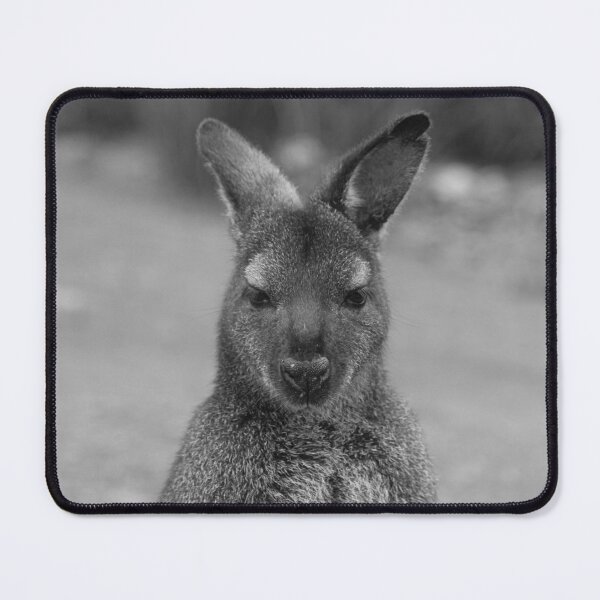 Item preview, Tasmanian Pademelon B&W designed and sold by CazDPhotos.