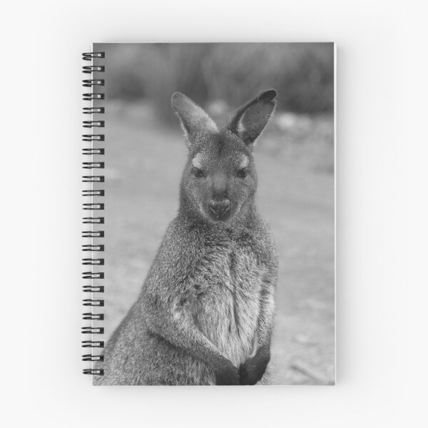 Item preview, Tasmanian Pademelon B&W designed and sold by CazDPhotos.