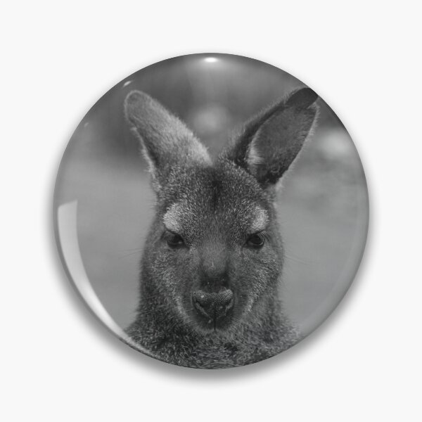 Item preview, Tasmanian Pademelon B&W designed and sold by CazDPhotos.