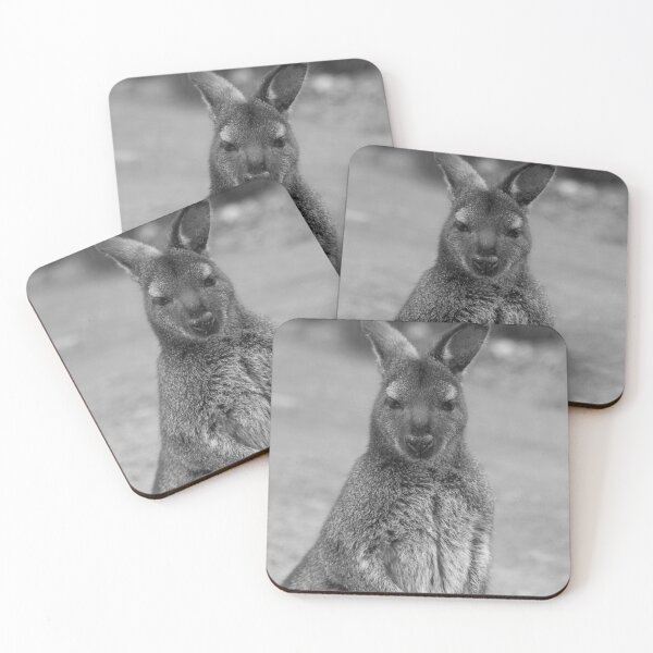 Item preview, Tasmanian Pademelon B&W designed and sold by CazDPhotos.