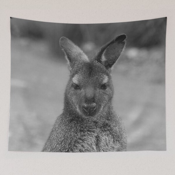 Item preview, Tasmanian Pademelon B&W designed and sold by CazDPhotos.