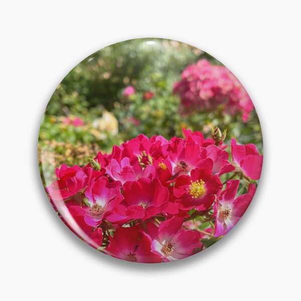 Item preview, Hot Pink Cluster Roses Botanical Photography designed and sold by Be Captured by Brittany Emma.