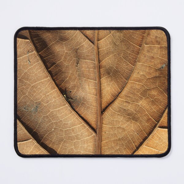 Item preview, Rustic Dried Autumn Leaf Vein Texture designed and sold by 27Tammy27.