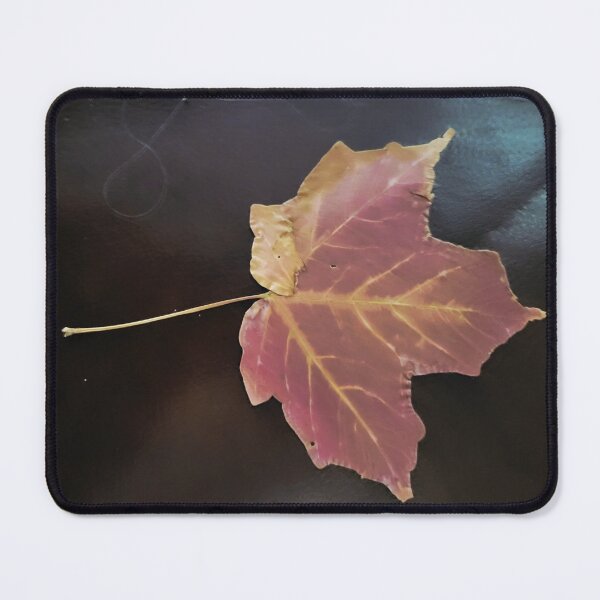 Item preview, Maple Leaf In Fall designed and sold by bobewing.
