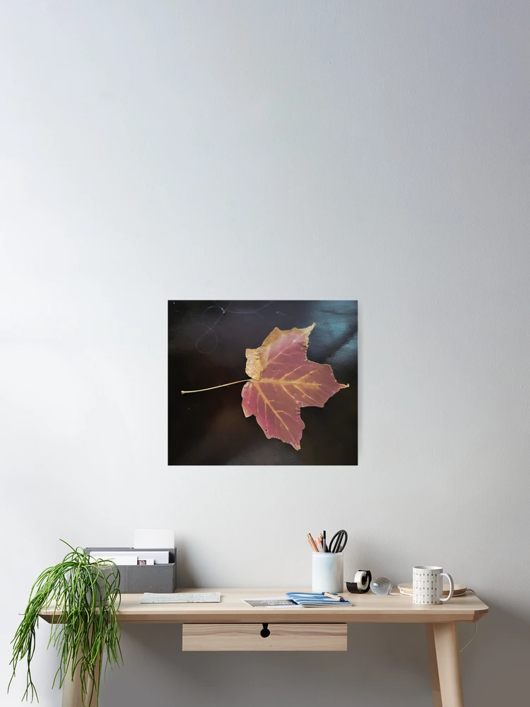 Thumbnail 2 of 3, Poster, Maple Leaf In Fall designed and sold by bobewing.