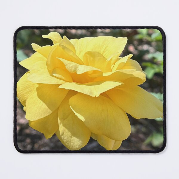 Item preview, Golden Yellow Rose Botanical Photography designed and sold by Be Captured by Brittany Emma.