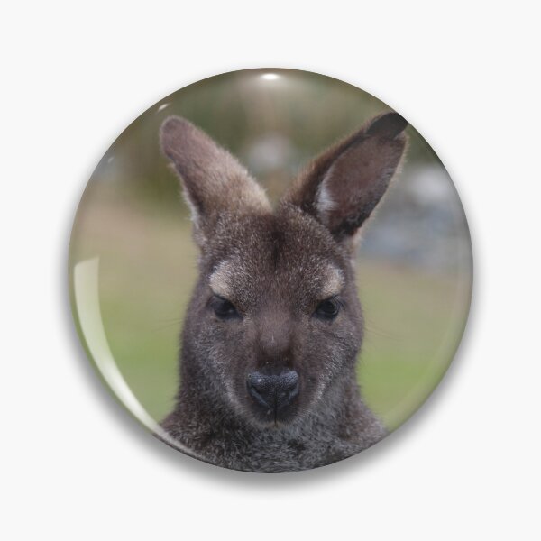 Item preview, Tasmanian Pademelon designed and sold by CazDPhotos.