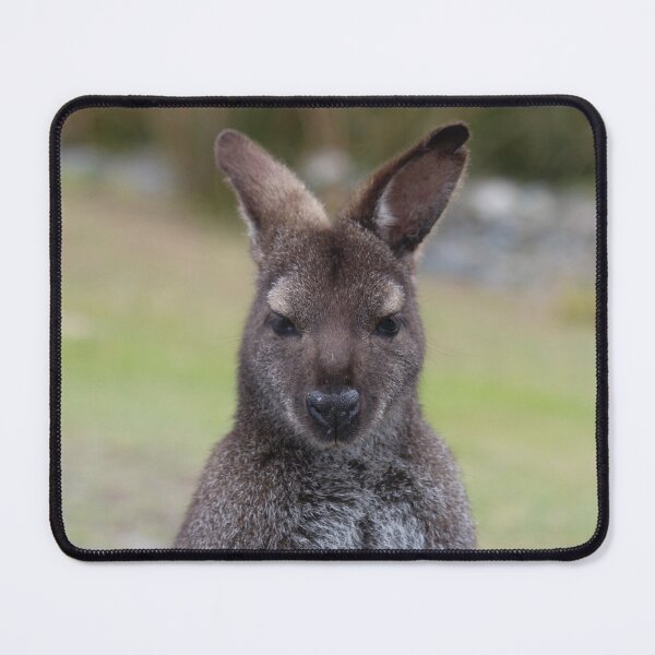 Item preview, Tasmanian Pademelon designed and sold by CazDPhotos.