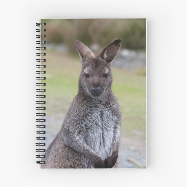 Item preview, Tasmanian Pademelon designed and sold by CazDPhotos.