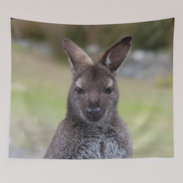 Item preview, Tasmanian Pademelon designed and sold by CazDPhotos.