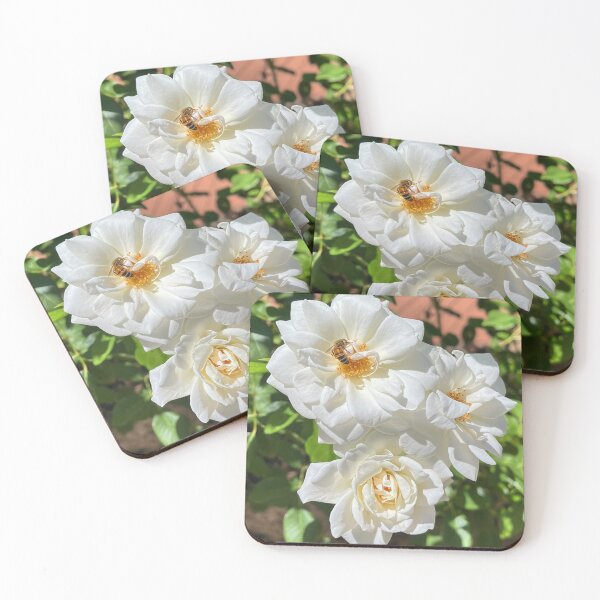 Item preview, Honey Bee on White Rose Botanical Photography designed and sold by Be Captured by Brittany Emma.