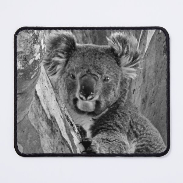 Item preview, Koala B&W designed and sold by CazDPhotos.